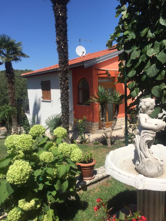 Apartament Joka 487
